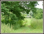 29th Jun 2012 - Through the meadow