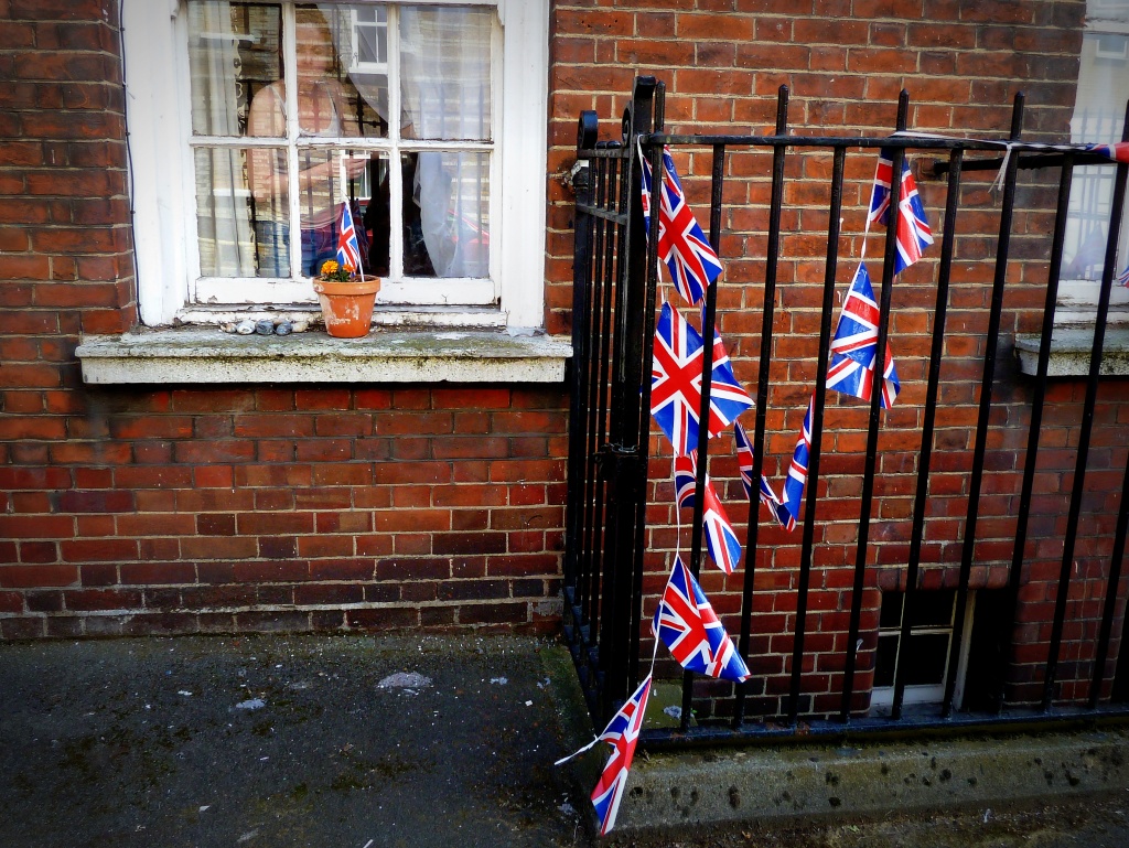 Bunting by boxplayer