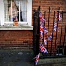 Bunting by boxplayer