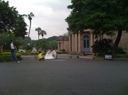 1st Jul 2012 - Roman Wedding