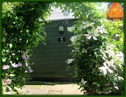 30th Jun 2012 - Every man should have a shed!
