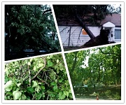 30th Jun 2012 - Storm Destruction