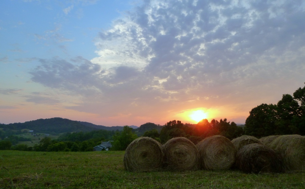 Rolls of Hay by calm