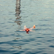 28th Jun 2012 - Just for fun: Floating in the lake at Geneva