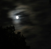 1st Jul 2012 - Moon