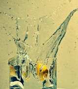 3rd Jul 2012 - Lemon Splash