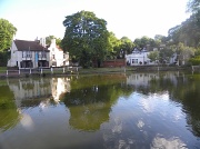 30th Jun 2012 - Carshalton Ponds