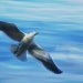 Jonothan Livingston Seagull by helenw2
