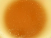2nd Jul 2012 - Green Tea 7.2.12 002