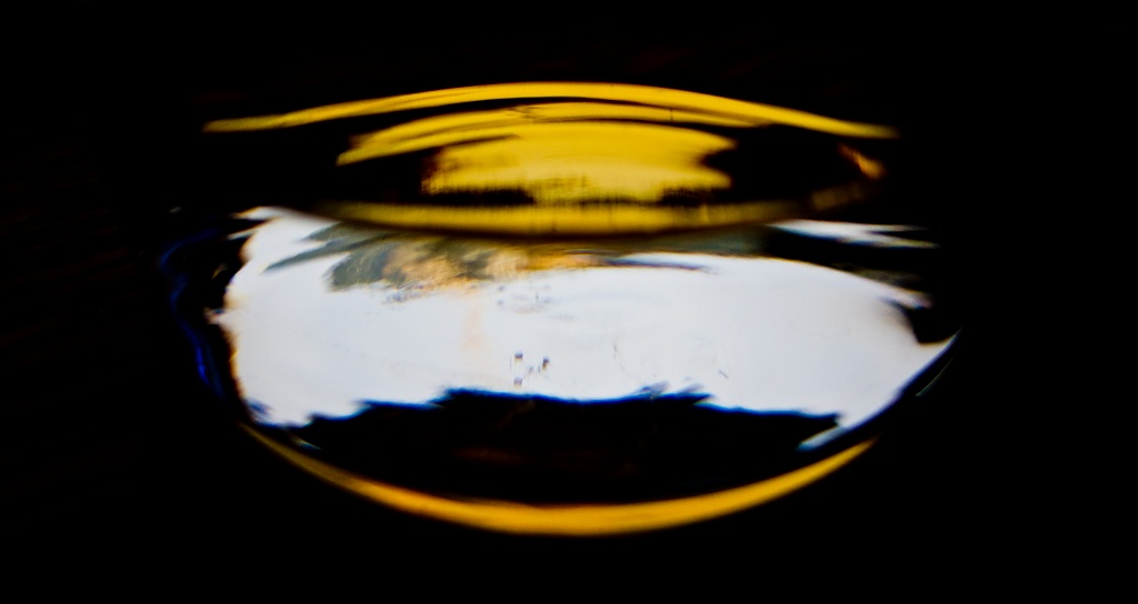 The bottom of a beer glass by vikdaddy