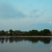 Full moon at Colonial Lake, Charleston, SC by congaree