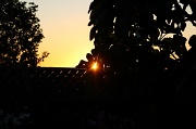 1st Jul 2012 - Just Caught the Sun