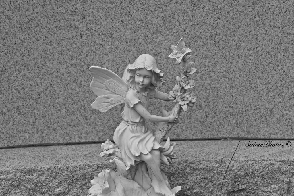 Cemetery Angel by stcyr1up