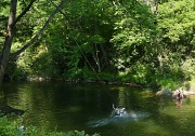 3rd Jul 2012 - The Swimming Hole