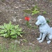 Flower guard dog by stcyr1up