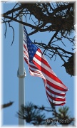 4th Jul 2012 - happy 4th to all who are celebrating