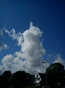 4th Jul 2012 - Blue sky - not seen often in the west country!