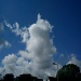 Blue sky - not seen often in the west country! by jennymdennis