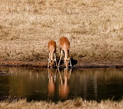 4th Jul 2012 - reflections