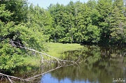 21st Jun 2012 - Pond in N.H.