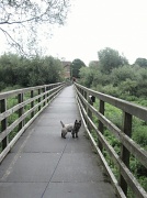 5th Jul 2012 - over North Pond Bridge to Bishops Waltham