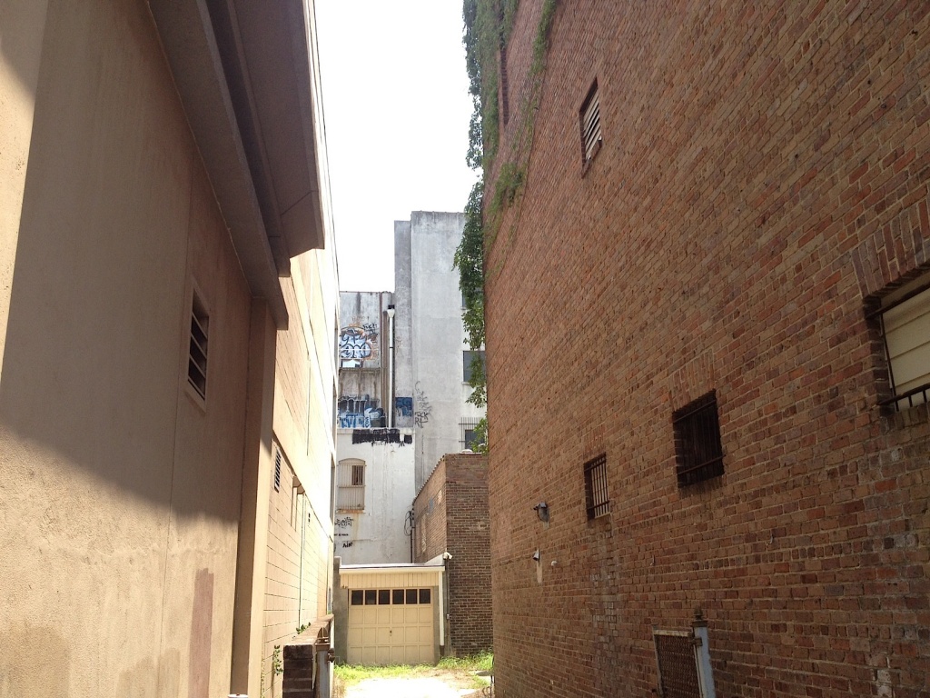 The back of downtown by congaree