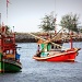 Fishing fleet returns by eleanor