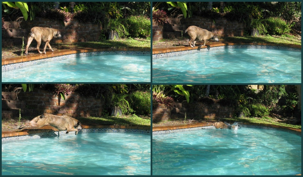 Mindy takes a swim by loey5150