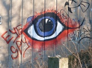 6th Jul 2012 - I've got my eye on you