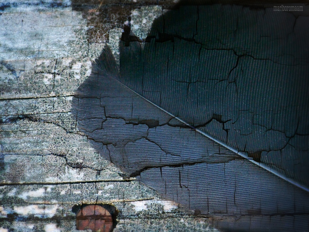 Cracked... Better view large. by marlboromaam