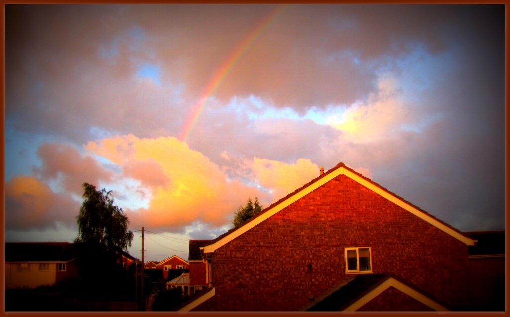 Rainbow  by busylady