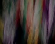 6th Jul 2012 - Wall hanging streaked. Lady Susie's Garden with really slow shutter speed. 