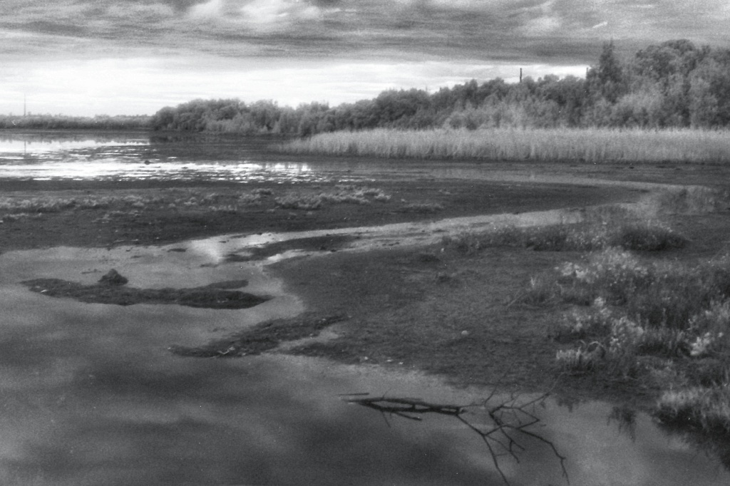 Mudflats at low tide by peterdegraaff