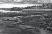 7th Jul 2012 - Mudflats at low tide