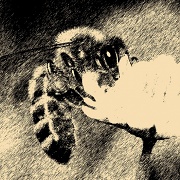 7th Jul 2012 - Bee in Clover: ETSOOI
