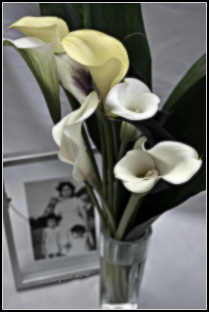 calla lilies (inspired by the works of tamara de lempicka) by summerfield