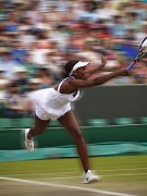 7th Jul 2012 - Anyone for tennis!