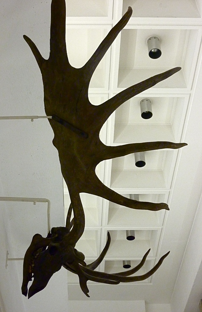 Ink Blot Antlers by helenmoss