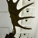 Ink Blot Antlers by helenmoss