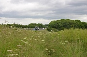 25th Jun 2012 - Highway and Byway