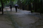 29th Jun 2012 - Slightly Damp Under Foot