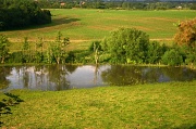 30th Jun 2012 - Water Meadow