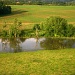 Water Meadow by shepherdman