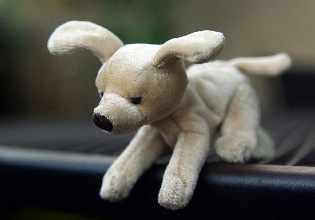 (Day 144) - Golden Retriever Toy by cjphoto