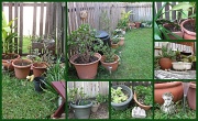 9th Jul 2012 - Gardening On Sunday
