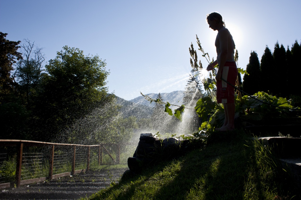 Watering the garden by kiwichick