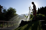 8th Jul 2012 - Watering the garden