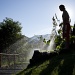 Watering the garden by kiwichick