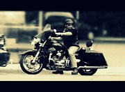 9th Jul 2012 - easy rider