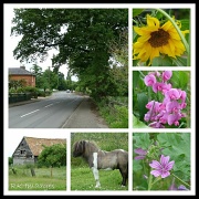 9th Jul 2012 - Cardington - the village where I work